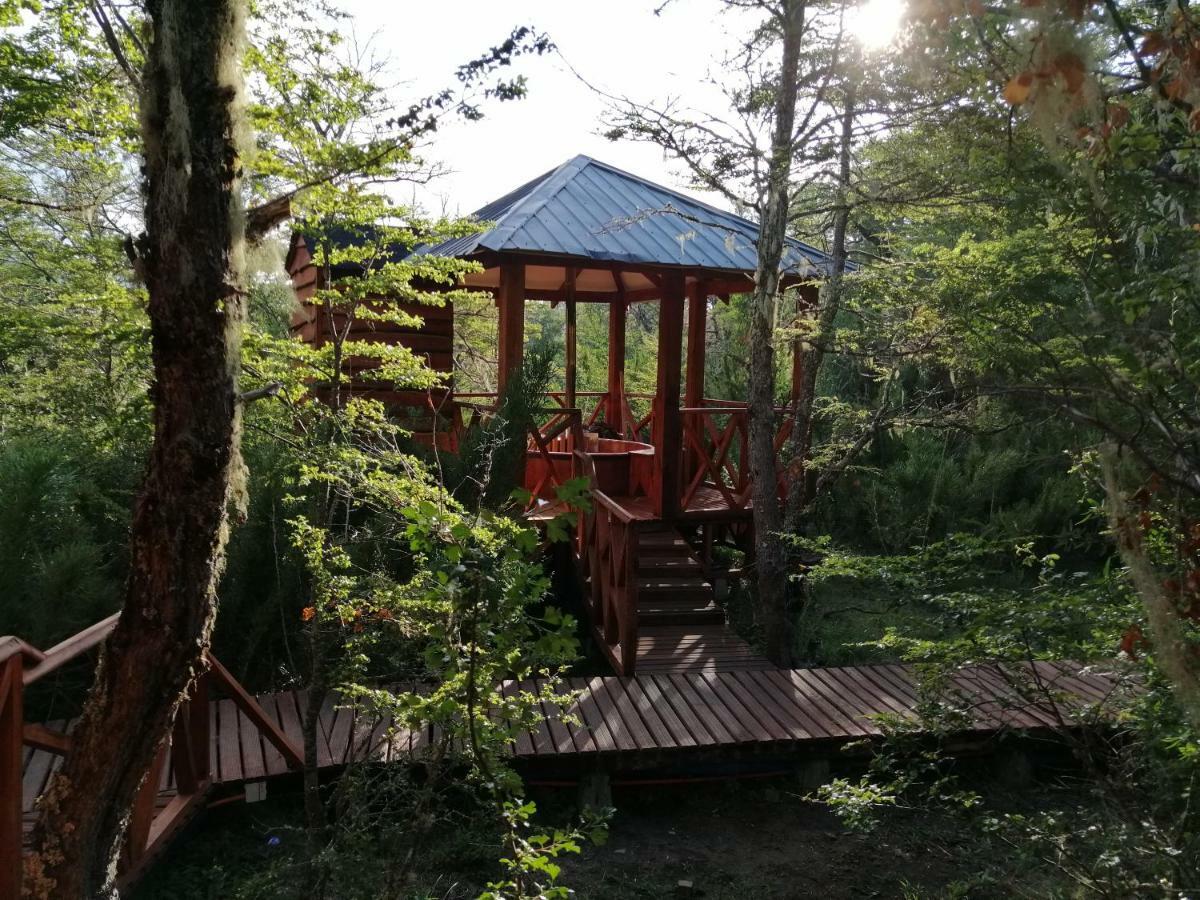 Parque Amavida Villa Malalcahuello Luaran gambar